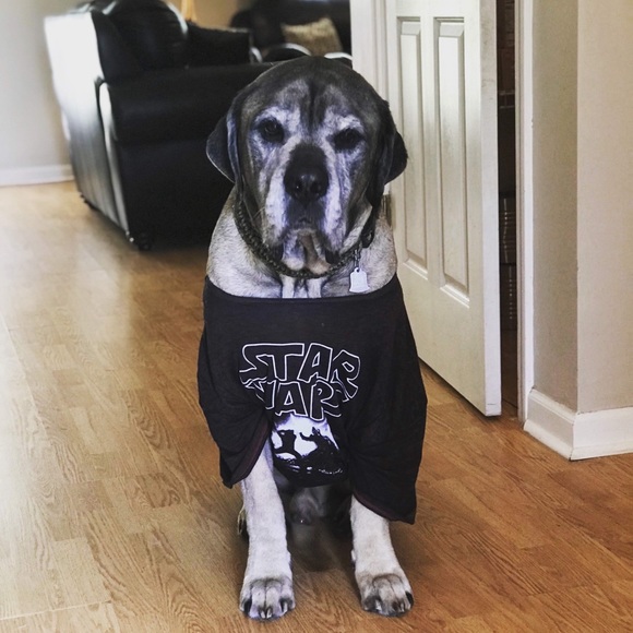 Meet your Posher, Alana - Picture 3 of 3